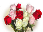 roses